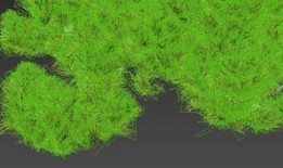 树叶最新爆料软件是什么,树叶最新爆料神器，一窥科技前沿新动态