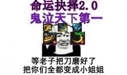 龙猫爆料宝哥视频播放全集,精彩瞬间与幕后故事大公开