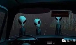 斯诺登爆料ufo视频,震撼曝光UFO神秘视频内幕